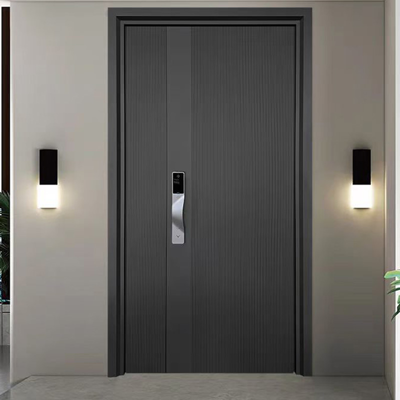 Modern Design Main Door Steel Pivot Front Entry with Aluminium for Interior Use for Exterior Application