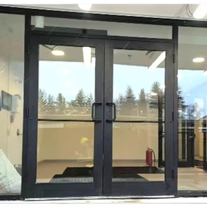 Commercial Aluminum Storefront Swing Door
