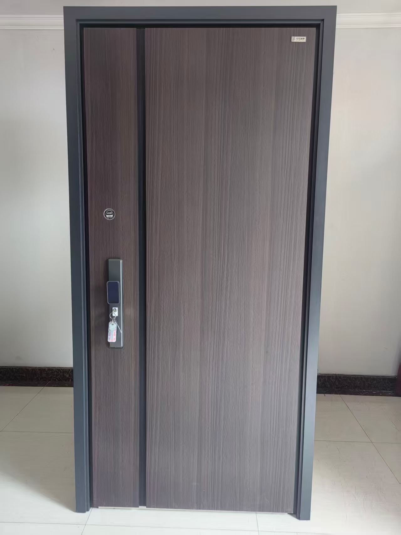 Custom Modern Pivot Style Entry Door with Smart Lock for Residential Use