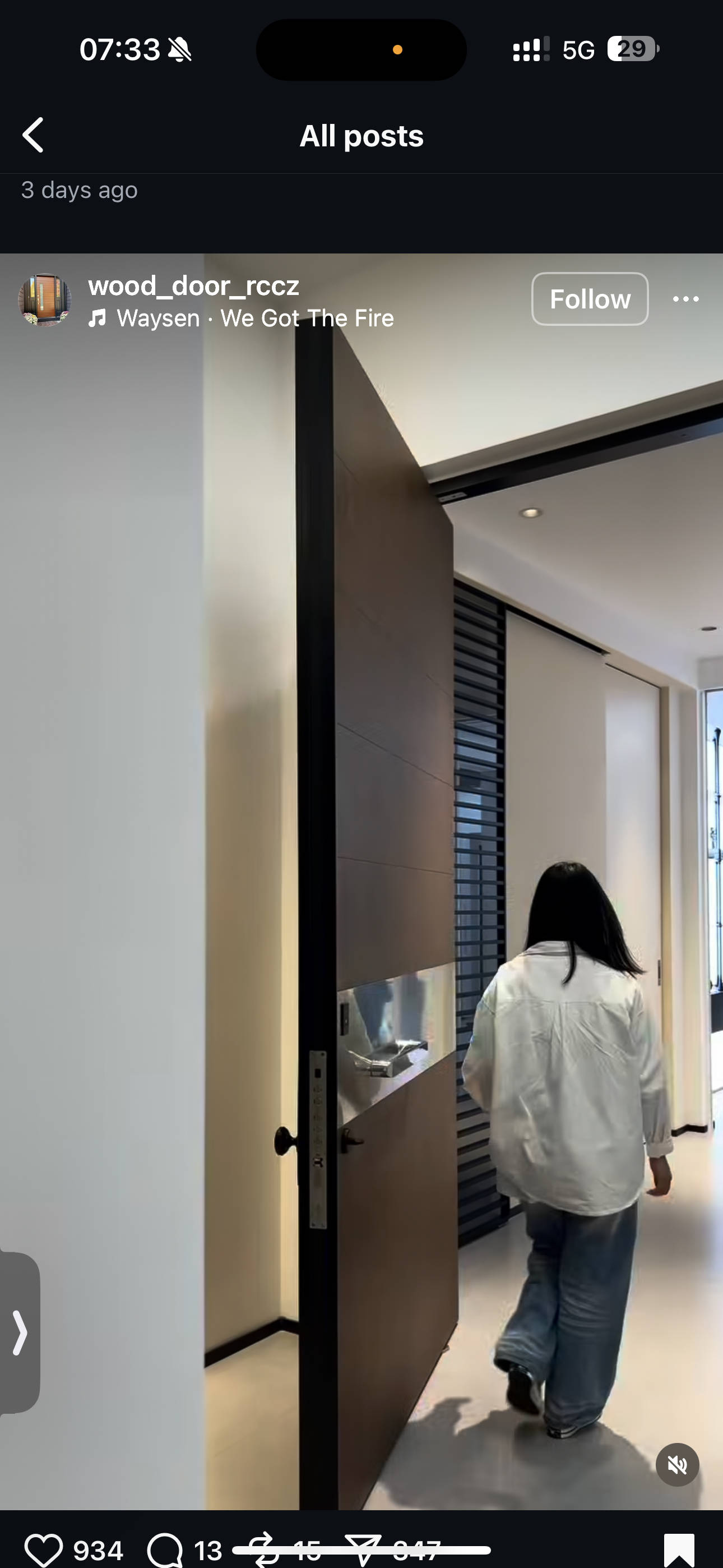 Minimalist Aluminum Pivot Door System Custom Made