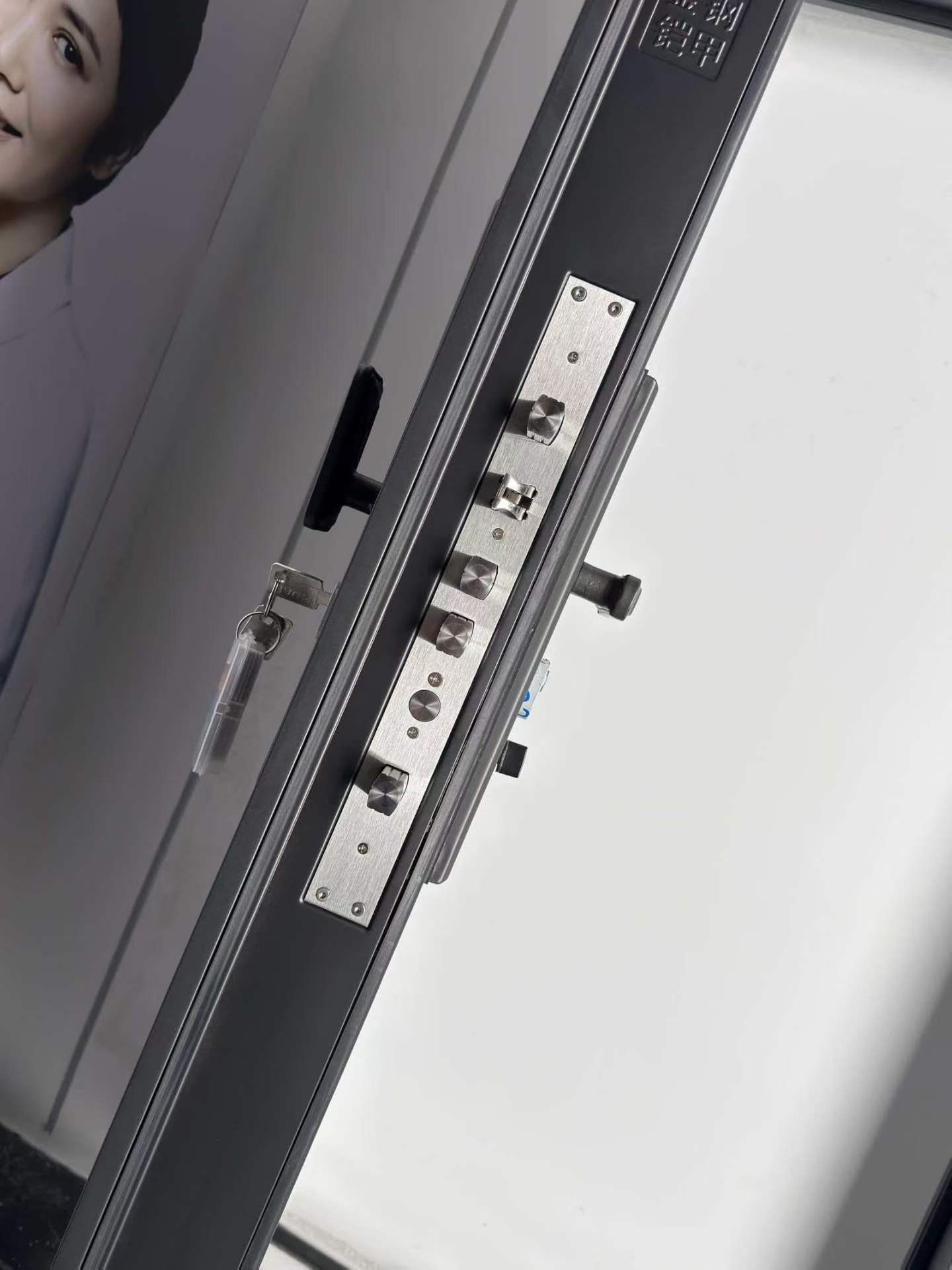 Custom Modern Pivot Style Entry Door with Smart Lock for Residential Use