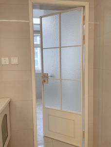 Minimalist Crittall Style Aluminum French Glazed Door
