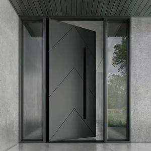 Minimalist Aluminum Pivot Door