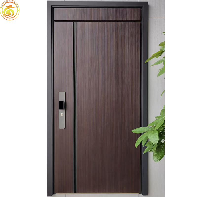 Modern Design Main Door Steel Pivot Front Entry with Aluminium for Interior Use for Exterior Application