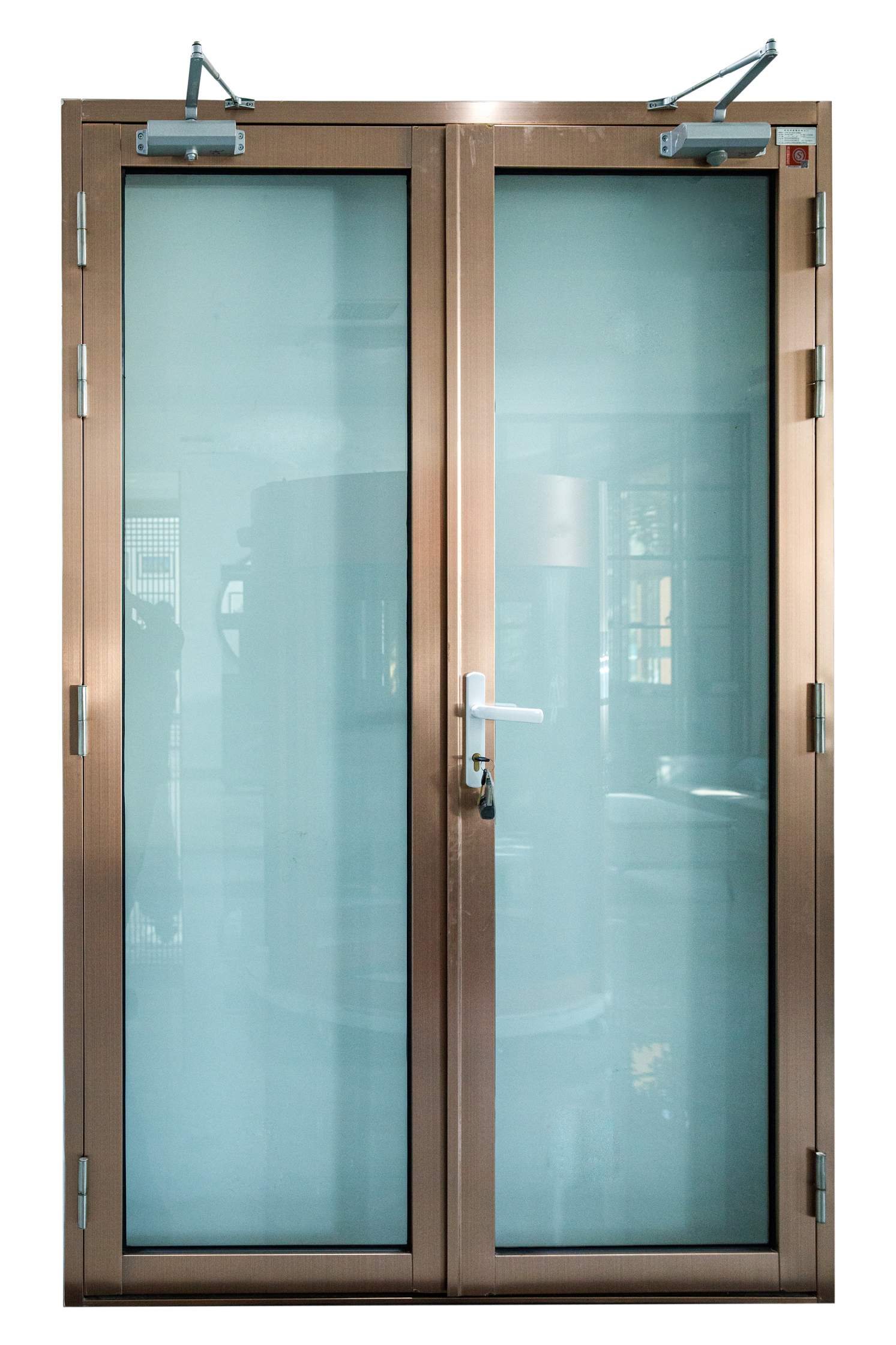 Modern Double Swing Aluminum Casement Door Detail