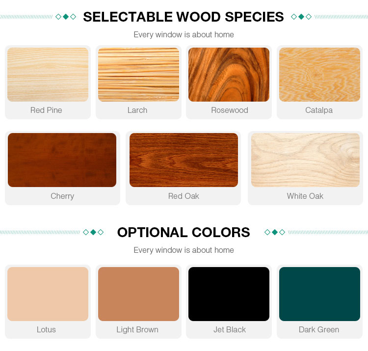 Color Options