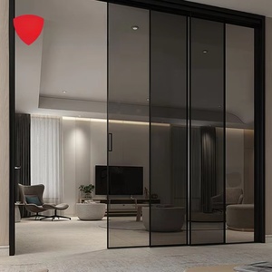 Interior Minimalist In-Wall Sliding Doors