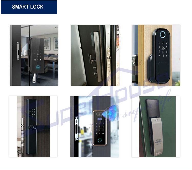 Why Choose Us Details