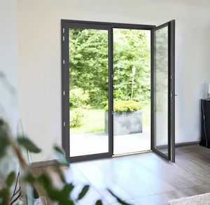 Aluminum Double Glass Front Entry Door