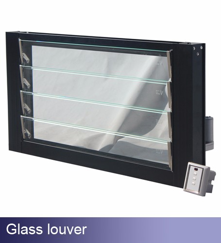 Product Option 8