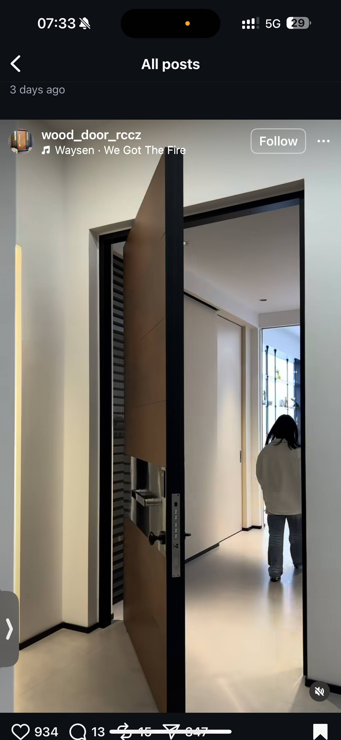 Minimalist Aluminum Pivot Door System Custom Made
