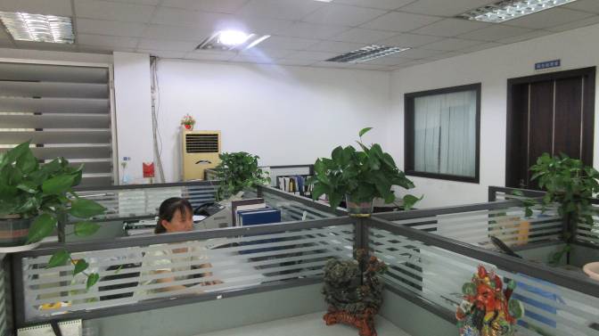 Company Profile View 2