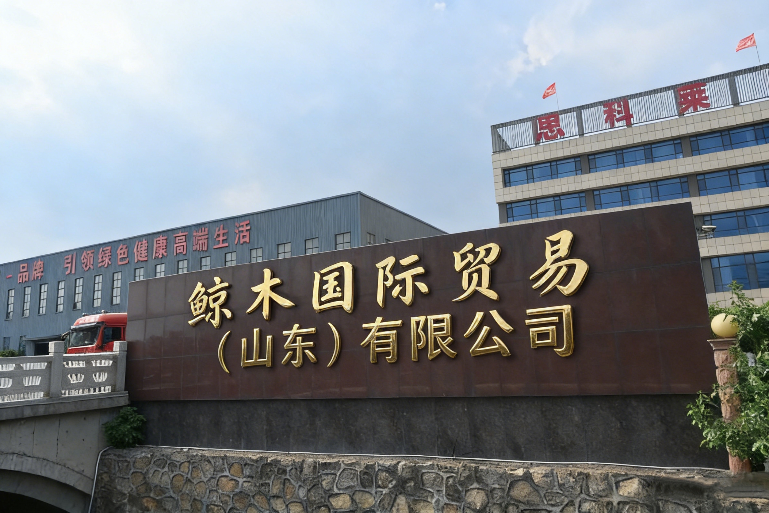 Company Overview 1