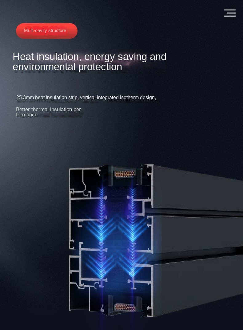 Product Detail 2