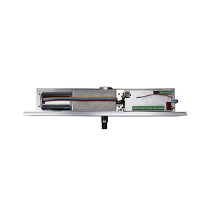 Turtech Automatic Pivot Door with Intelligent Controller and Beautiful Appearance