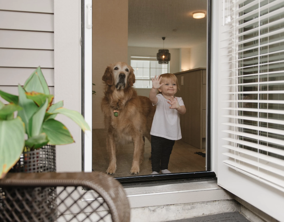 Aluminum Frame Fly Screen Door Fiberglass Mesh Lightweight Rust-Resistant Light Luxury Design 3-Year Warranty-Excellent
