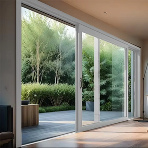 Modern Frameless Aluminium Double Sliding Glass Door